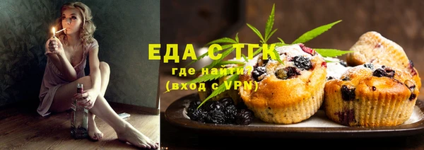хмурый Гусь-Хрустальный