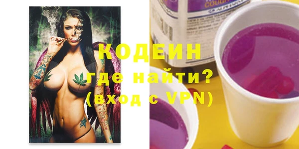 хмурый Гусь-Хрустальный