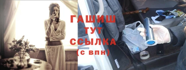 хмурый Гусь-Хрустальный