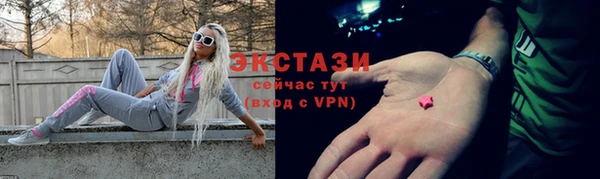 хмурый Гусь-Хрустальный