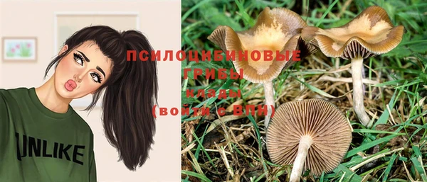 хмурый Гусь-Хрустальный