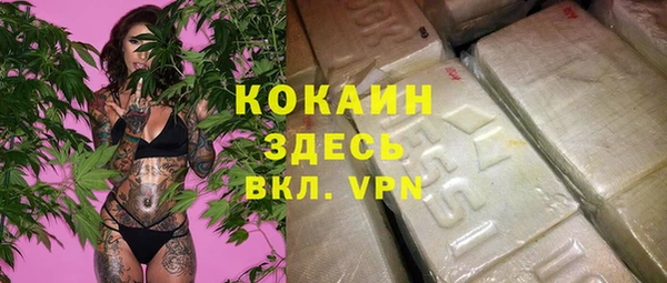 хмурый Гусь-Хрустальный