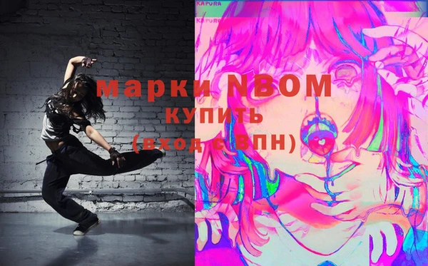 хмурый Гусь-Хрустальный