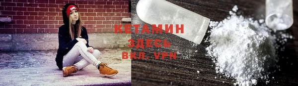 хмурый Гусь-Хрустальный