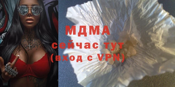 хмурый Гусь-Хрустальный