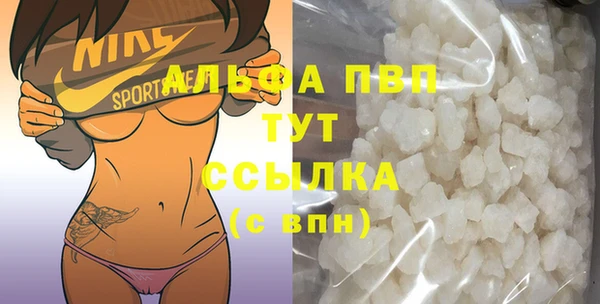 хмурый Гусь-Хрустальный