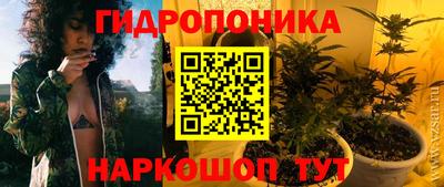 PSILOCYBIN Кимры