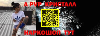 хмурый Кингисепп