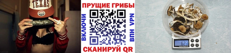 кракен ТОР  закладки  Острогожск  Галлюциногенные грибы Psilocybe 