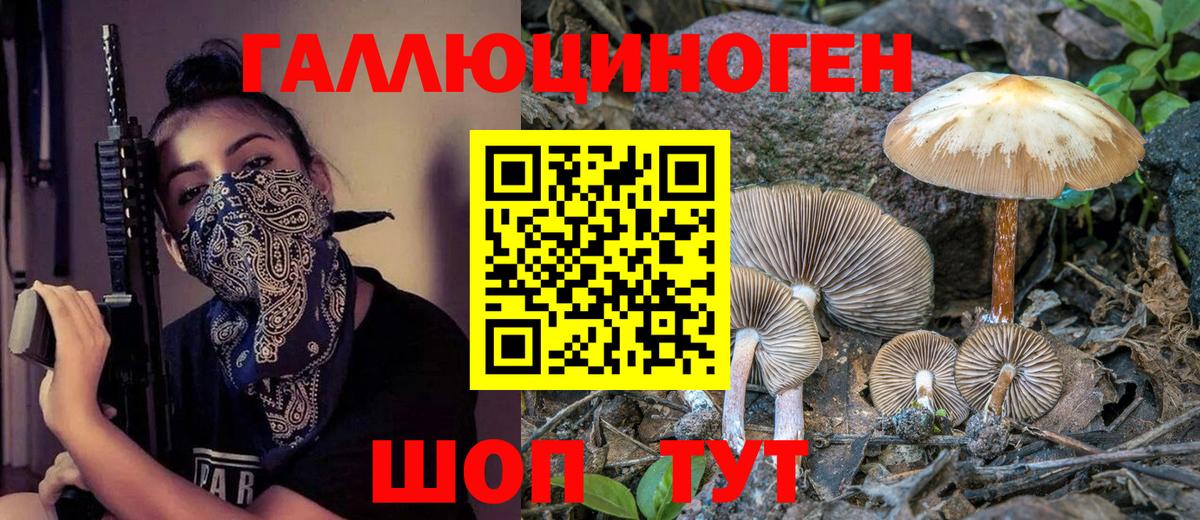 Галлюциногенные грибы Psilocybe  Псилоцибиновые грибы ЛСД  Острогожск 