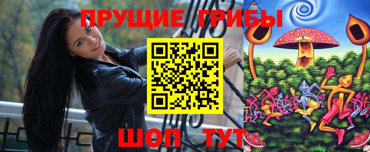Острогожск  Галлюциногенные грибы ЛСД  Вход с VPN 